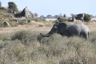 DSC_3841 (Large).JPG